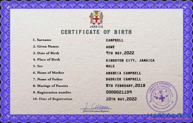 Printable Jamaica vital record birth certificate PSD template